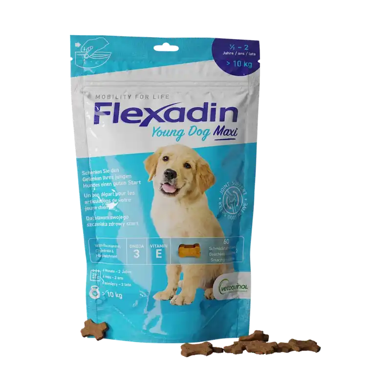 Wyprzedaż Flexadin Young Dog Maxi 60 KĘSKÓW