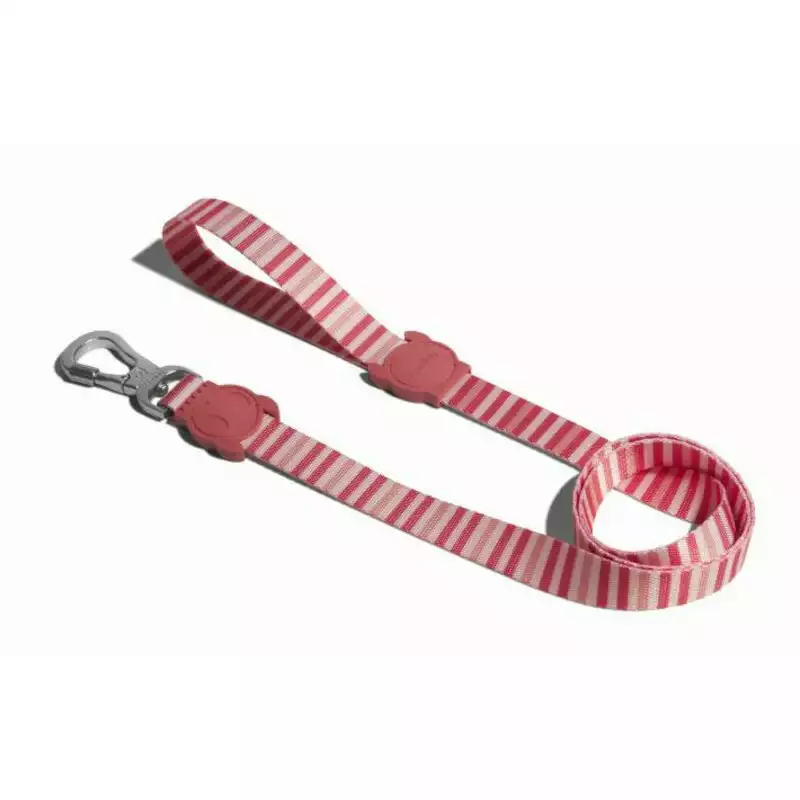 ZEE DOG Smycz dla psa Peppermint Zniżka