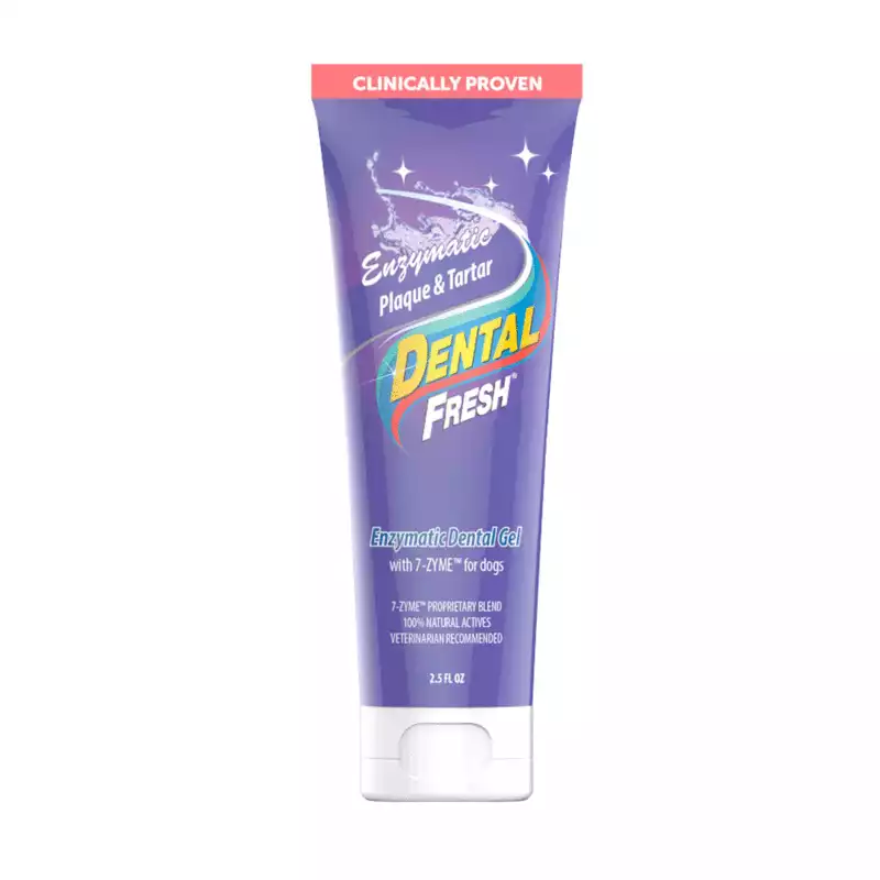 Bestseller DENTAL FRESH Gel - Żel enzymatyczny