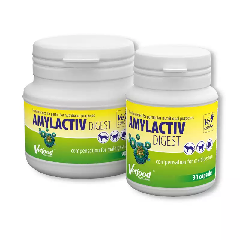 VETFOOD Amylactiv Digest - suplement wspomagający procesy trawienne Taniej