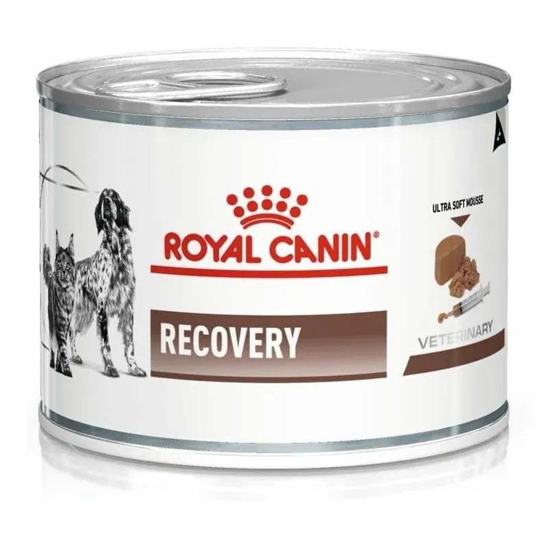Hit cenowy Royal Canin Veterinary VHN Recovery Mousse 195g Mokra Karma Mus Dla Psów i Kotów Rekonwalescencja