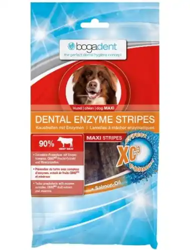 Nowy bogadent Dental Enzyme Stripes Maxi 100g