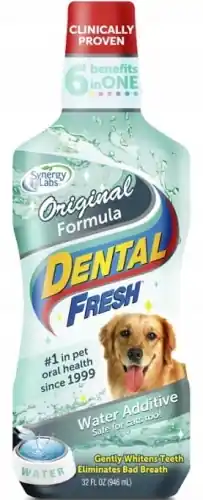 Zamów dziś Synergy Labs Dental Fresh Original Formula 1l