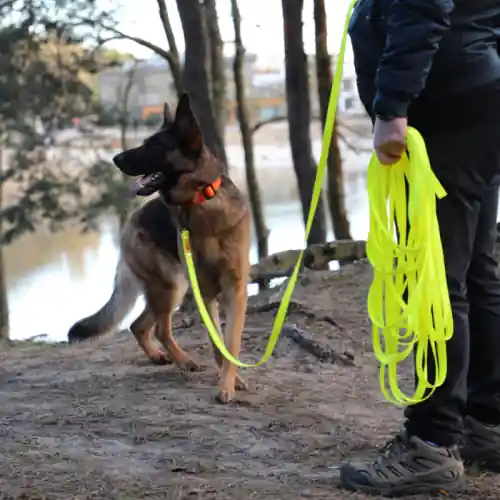 Dodaj do koszyka Dingo Smycz treningowa Flex 2cmx10m 偶贸艂ta