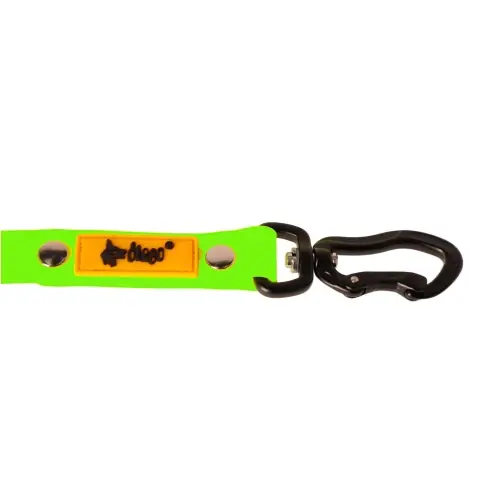 Darmowy zwrot Dingo Smycz treningowa Flex 2cmx10m zielona