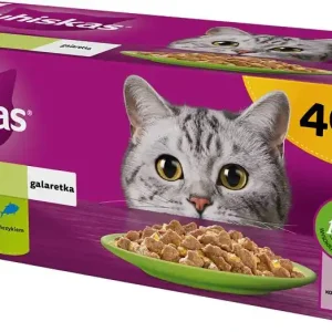 Promocja Whiskas Mix Smaków Karma w galaretce dla kota 40x85g