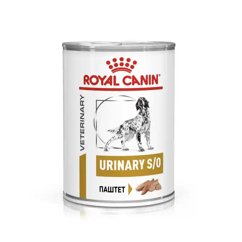 ROYAL CANIN Veterinary Dog Urinary Loaf pasztet 410g Promocja
