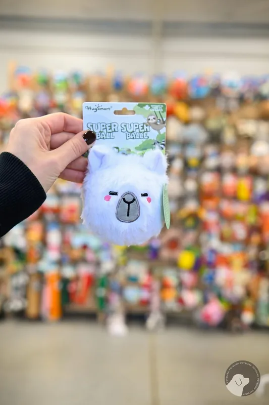 Nie przegap Hugsmart Zoo Ball – alpaca alpaka i twarda piszcząca kolczastą piłka wewnątrz