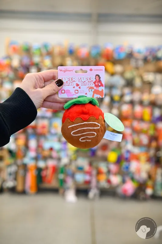 HugsmartWoof Love – Strawberry Chocolate Ball truskawka z piszczącą piłką kolczastą wewnątrz Oferta limitowana