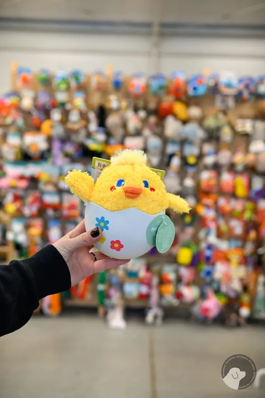 Dostępne od ręki Hugsmart Hoppin’ Easter – Baby Chick zabawka węchowa kurczak w skorupce