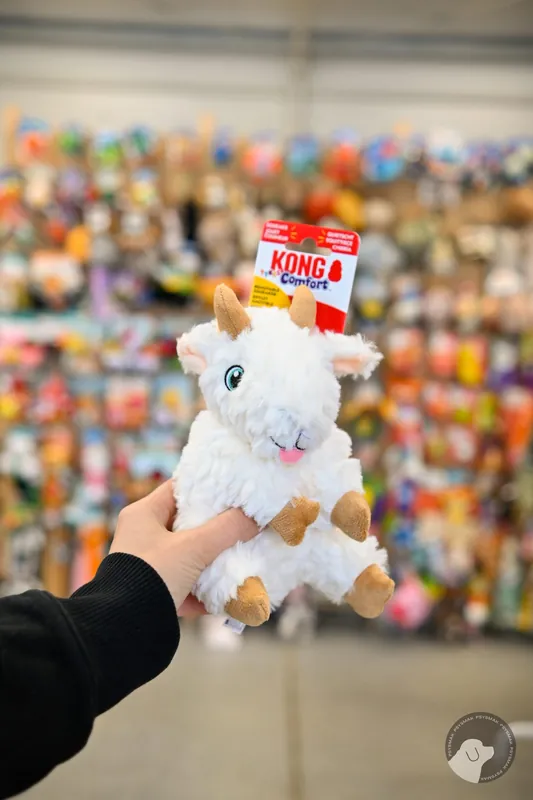 KONG Comfort Tykes Goat S – pluszowa koza z wyjmowaną piszczałką Do wyczerpania zapasów
