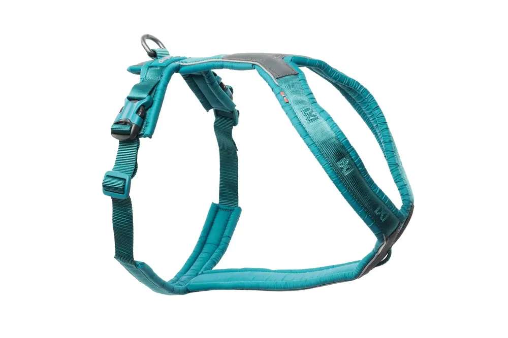 Tani Non-stop dogwear Szelki Non-stop Dogwear Line Harness 5.0 – szelki spacerowe turkusowe