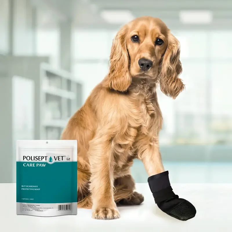 Bezpieczne zakupy POLISEPT VET CARE PAW – but ochronny dla psa i kota S-XL