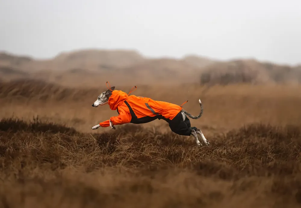 Najlepsza cena Non-stop dogwear Fjord overall raincoat kombinezon przeciwdeszczowy dla psa pomarańczowy rozmiar 27-80
