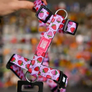 Bestseller Max&Molly H-Harness Strawberry Dream – kolorowe szelki dla psa i szczeniaka, regulowane XS-L