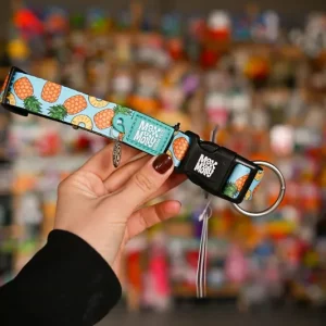 Bezpieczna płatność Max&Molly GOTCHA! Smart ID Sweet Pineapple Collar – obroża z zawieszką smart Tag dla psa XS-L