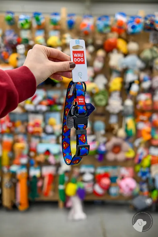 WAUDOG Nylon obroza dla psa nylonowa z QR-paszportem, wzor „Superman Logo”, metalowa klamra fastex, szer. 20 mm, dl. 28-40 cm Tylko do końca tygodnia