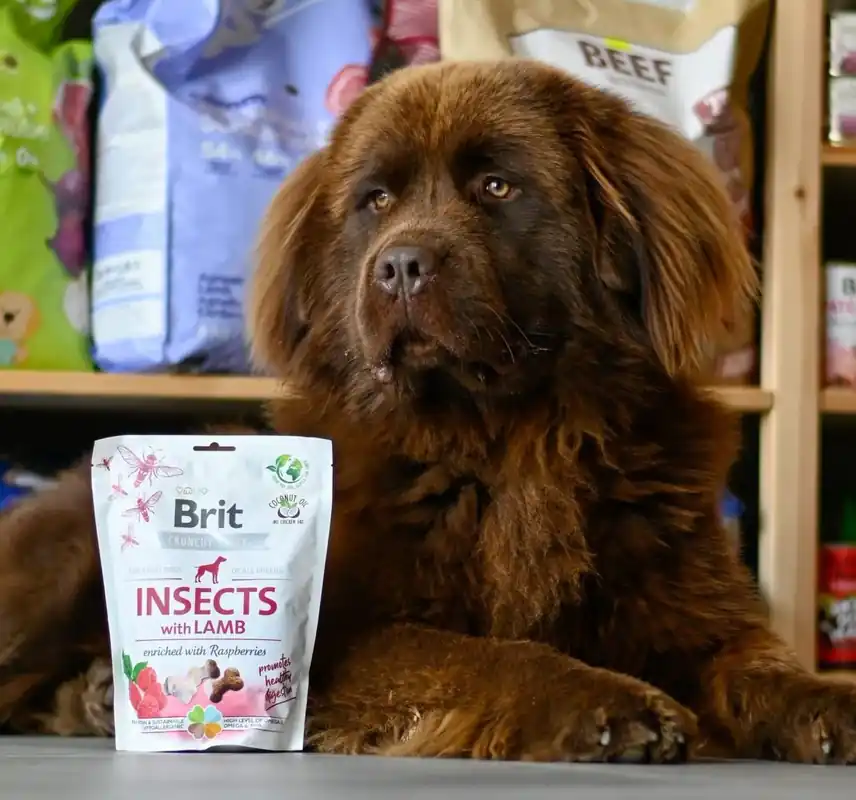 Wybór klientów BRIT CARE DOG CRUNCHY CRACKER INSECT & LAMB 200 g