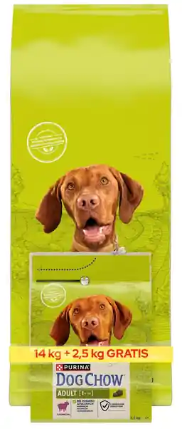 Ostatnia szansa Purina Dog Chow Adult Lamb Sucha Karma dla psa op. 14kg + 2.5kg GRATIS