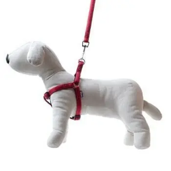 Happet Smycz + szelki Soft Style czerwone S 1 cm Popularny