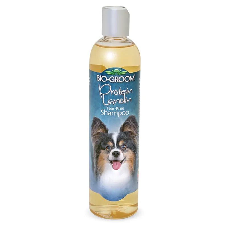 Zamów teraz Bio-Groom Protein Lanolin Shampoo 355 ml - szampon odżywczy z proteinami i lanoliną