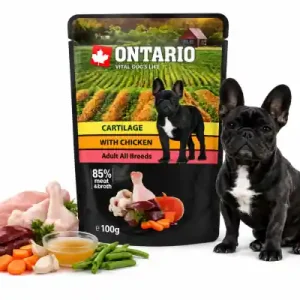 Oferta Ontario saszetka dla psa chrz膮stki z Kurczakiem w rosole 100g
