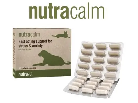 Nutravet NutraCalm for Dogs&Cats Uzupełniająca karma dla psów i kotów szybko działające wsparcie w stresie i niepokoju 9g Tylko dziś