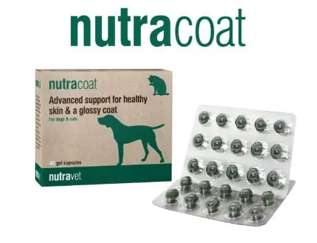 Nutravet Nutracoat for Dogs & Cats Uzupełniająca karma dla psów i kotów zaawansowane wsparcie dla zdrowej skóry i błyszczącej sierści 24g Nowy